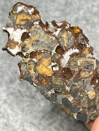 Image 3 of Rare Sericho Pallasite Meteorite Slice #2427