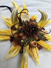 Image 3 of Okra Sunflower