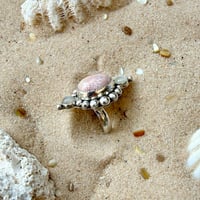 Image 2 of Coral Shores