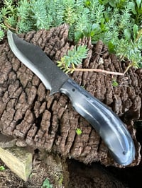 Image 2 of DAWNMIST BOWIE