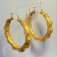 Image 3 of Golden Trinity Baby ‘Boos