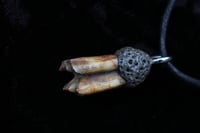 Image 2 of Dead good stained sheep tooth necklace