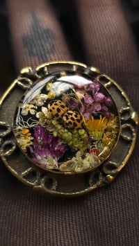 Image 1 of Ladybird and flora big brass ring 