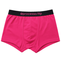 Image 1 of PROCESSO BOXER