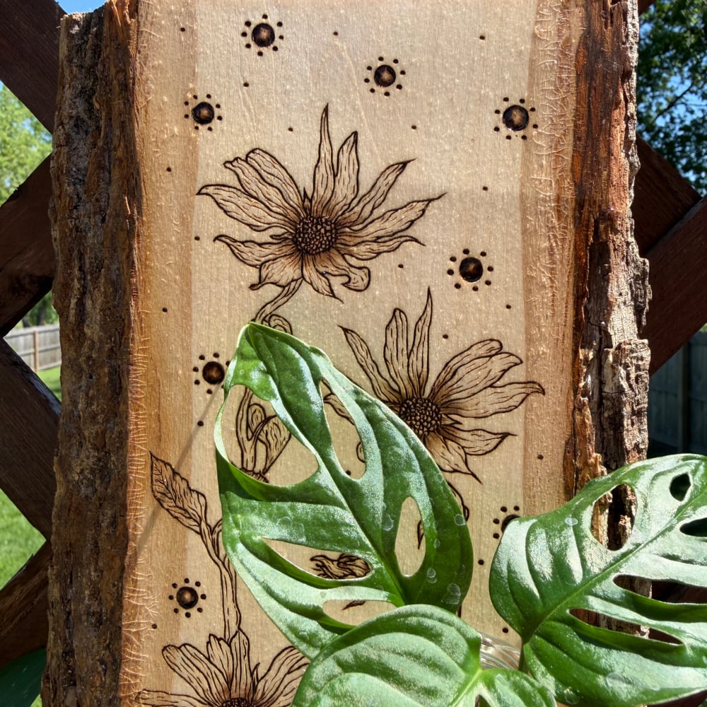 Image of sun seeker propagation station wood art