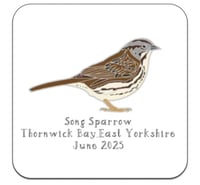 Image 5 of Song Sparrow - No.122 - UK Birding Pins - Enamel Pin Badge