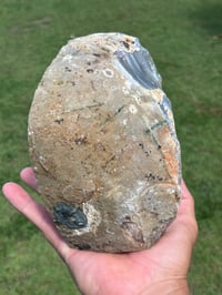 Image 5 of Agate Geode | Brazil #2949