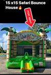 safari 15x 15 Bouncer 