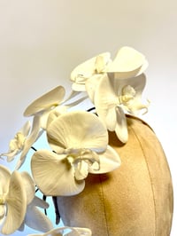 Image 2 of White orchids