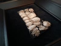 Image 2 of Before Braces - Original Beadwork