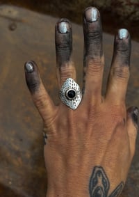 Image 1 of Reptile Onyx Eye 