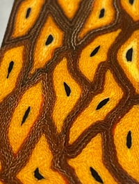 Image 8 of Pheasant by Mikie