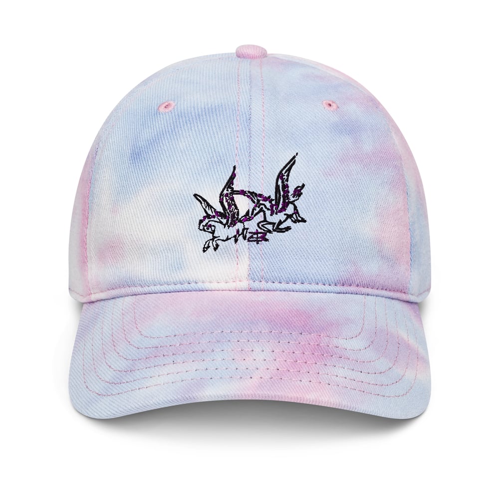 Pegasi Tie dye hat