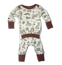 Image 3 of Pocket Pixie NEWBORN