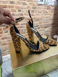Steve Madden Shoes (NEW)