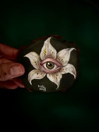 Image 2 of Ojo lirio 