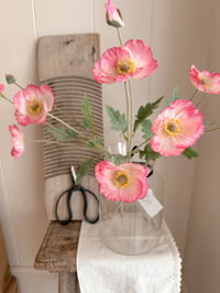 Image 5 of Poppy Bouquets ( 4 options )