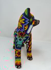 Image 4 of Husky