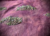 Image 6 of Project bag - achilleas