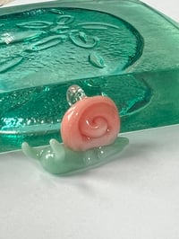 snail 