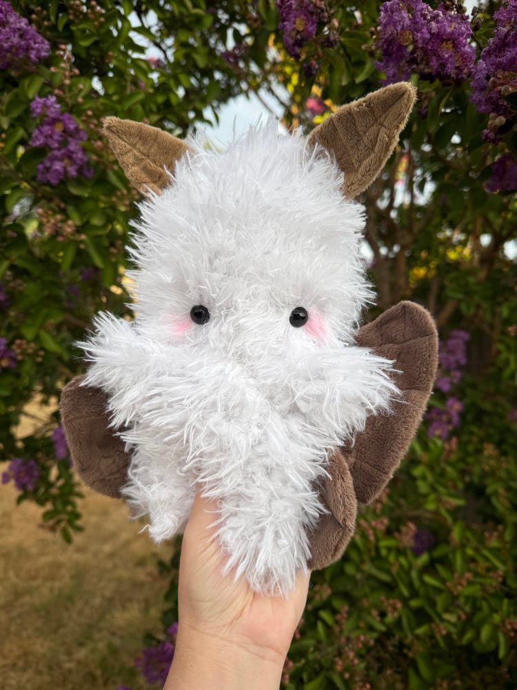 Image of fluffy moth