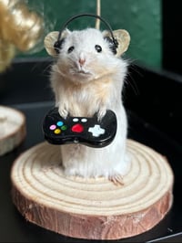 Taxidermy Gamer Mouse 