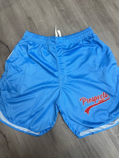 Image of Zinger Team Gear - Shorts  - FOR PICKUP ONLY