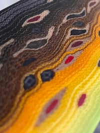 Image 10 of Brown Trout by Mikie