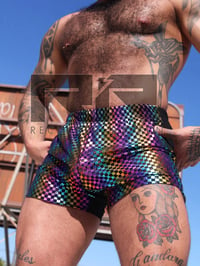 Image 1 of THE PRIDE BB SHORTS