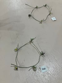 Image 3 of Single Daisies  (or daisy chain made to order) 