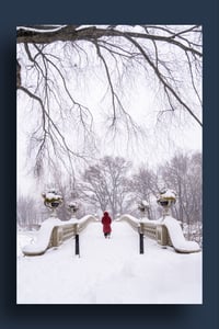Image 4 of Lady in Red 