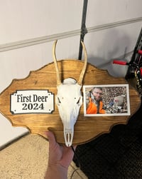 Image 6 of Deer Skull Antler Mount 11 inches