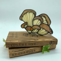 Image 4 of PRE-ORDER LISTING! Oyster Mushroom on Book