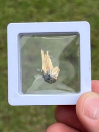 Image 8 of Golden Rutile & Hematite Star Specimen|Brazil #3054