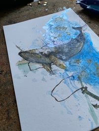 Image 2 of Baleine Encre 