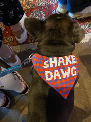 Image of Dog bandana