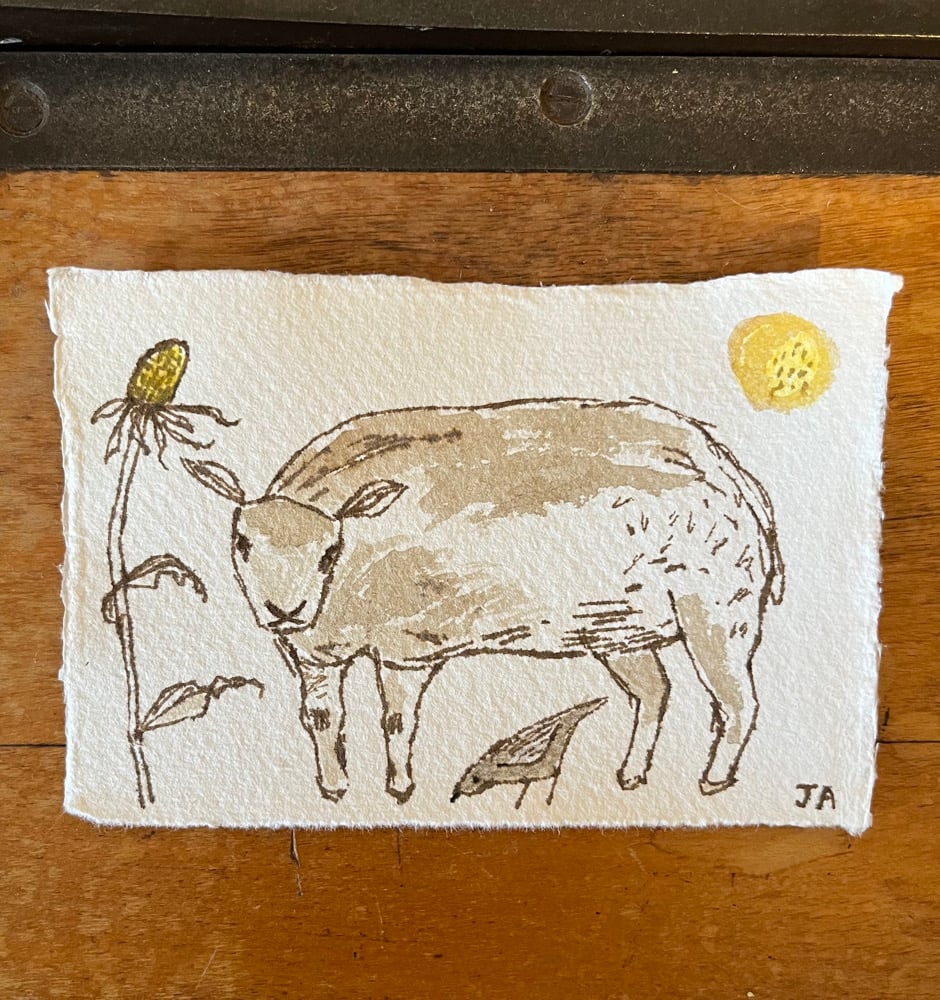 Image of Ewe and tall plant. 