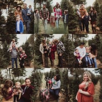 Tree Farm Minis 2023