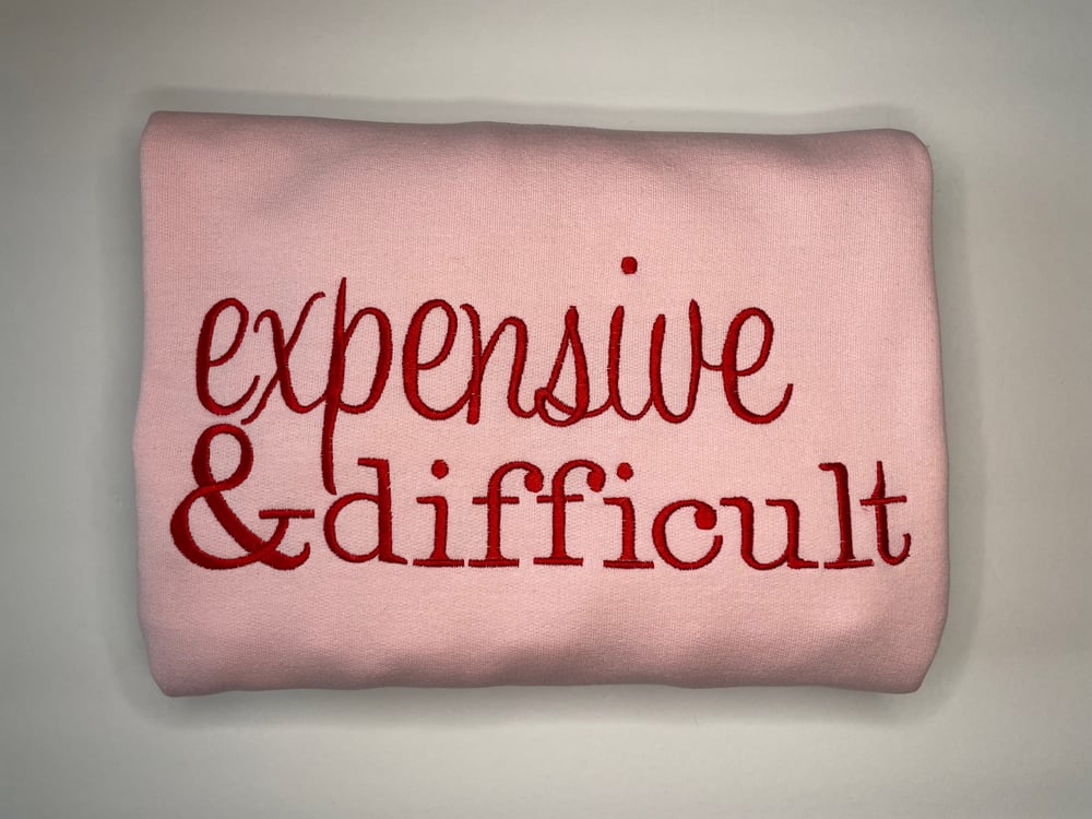 Image of Expensive & Difficult 