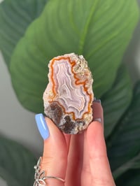 RED RING LAGUNA AGATE WITH DRUZY CENTER