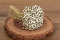 Image 1 of Stardust / Daisy Pod 