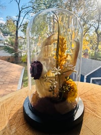Image 2 of Fox Skull Terrarium 