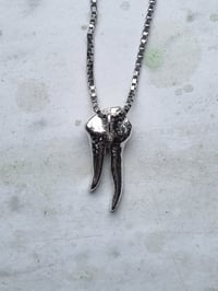 Image 4 of tooth with root 