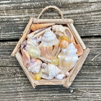 Image 1 of Beach Box #7