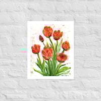 Tulip Study Print