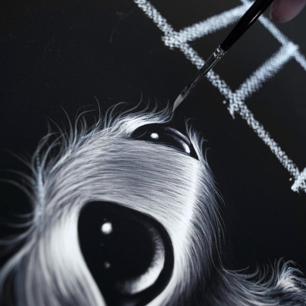 Image of 'Mind Over Matter'