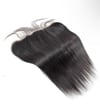 Mink Brazilian Straight HD Frontal