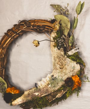 Image of Deer Jaw Wreath