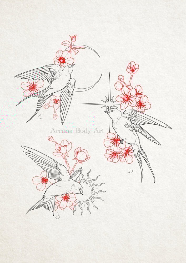 Image of Hirondelles céleste