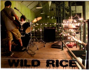Image of Wild Rice CS